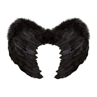 veren vleugels 37x50xm, zwart
