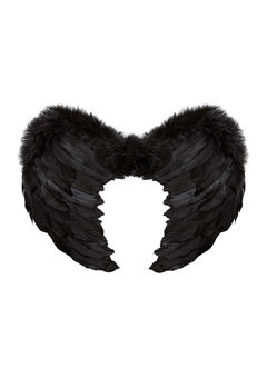 veren vleugels 37x50xm, zwart