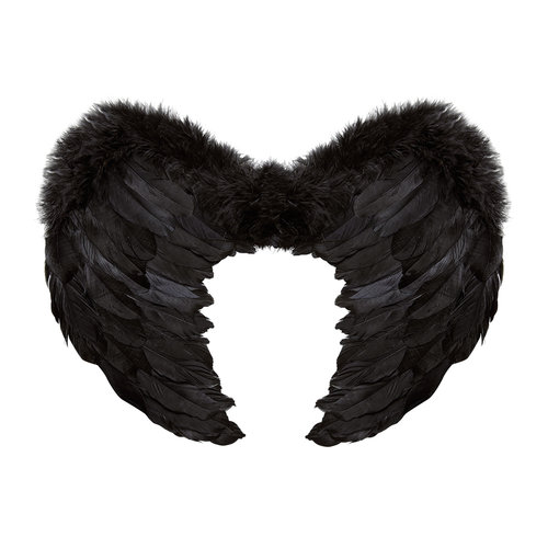 veren vleugels 37x50xm, zwart