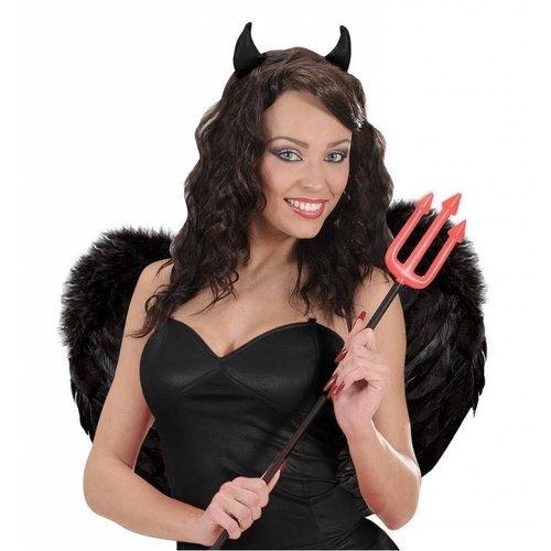 veren vleugels 37x50xm, zwart