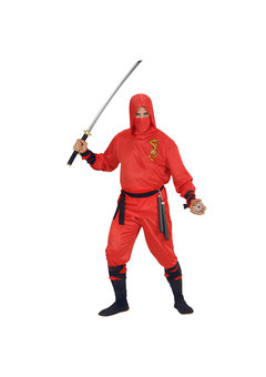 ninja rode draak s