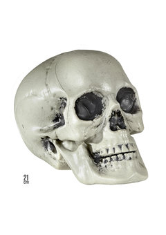 schedel van pvc 21cm