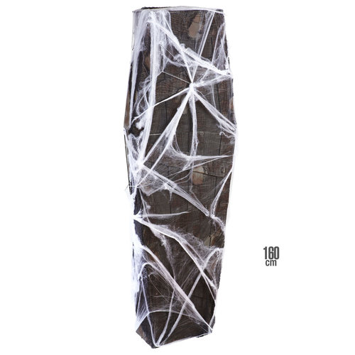 lijkkist met gaas en spinnenweb, 160cm