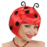 pruik, lieveheerstbeestje