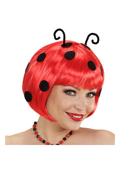 pruik, lieveheerstbeestje