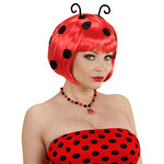 pruik, lieveheerstbeestje