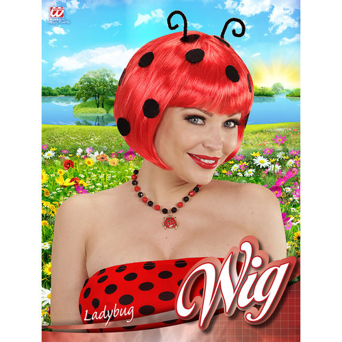 pruik, lieveheerstbeestje