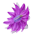 haarclip bloem met glitter, paars