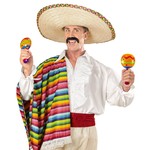 opblaasbare sambaballen met geluid, 20cm