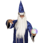 pruik, tovenaar met baard