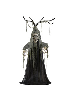 pratende behekste halloween boom