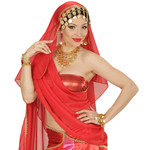 hoofdstuk muntjes, goud