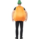 Mooi pompoen kostuum volwassenen