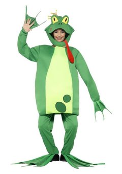 Kikker kostuum Froggy
