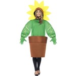 Mooi zonnebloem pak exclusief