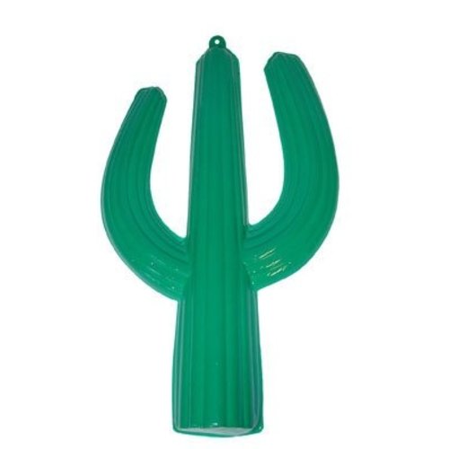 Mooie cactus decoratie plastic