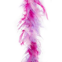 Boa Roze/Paars/Zilver 2mtr