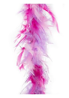 Boa Roze/Paars/Zilver 2mtr