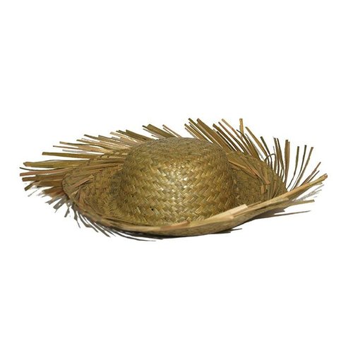 Mooie stro hoed Hawaii in naturel