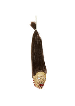 afgehakt zombie hoofd met bruine haren