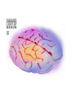 oplichtende hersenen