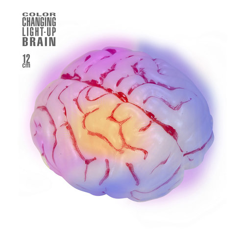 oplichtende hersenen