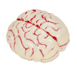 oplichtende hersenen