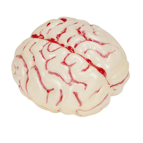 oplichtende hersenen