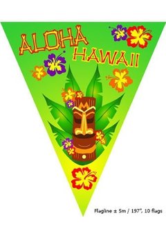 Vlaggenlijn Aloha Hawaii 5mtr