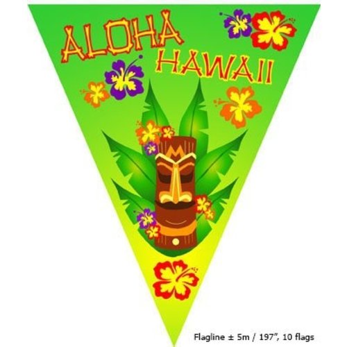 Mooie vlaggenlijn Hawaii met 10 vlaggen