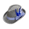 beierse fedora met blauwe veren