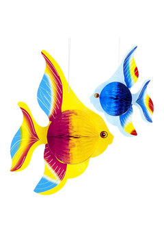 honingraat tropische vis 25cm