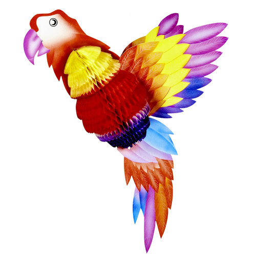 honingraat papegaai 38cm