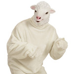 masker, schaap