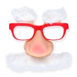 kerstmanbril + snor + wenkbrauwen