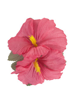 haarclip met 2x hibiscus rose