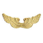 gouden vleugel engel