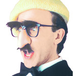 bril met neus, snor en wenkbrouwen