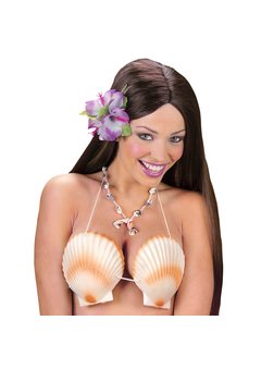 schelpen beha hawaii