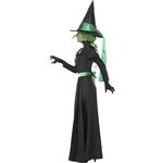 Origineel heksen pak Tamara