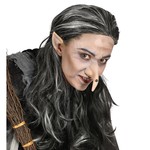 professional heksen puntoren