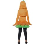 Mooi pompoen tutu pakje voor meiden