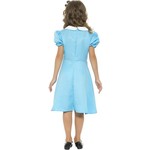 Alice in sprookjesland pak meiden