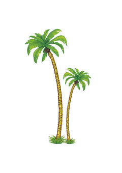 2 palmbomen 1x180cm , 1x116cm
