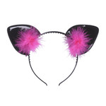 oren katje met veren