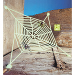 spinneweb met 2 spinnen, lichtgevend in donker