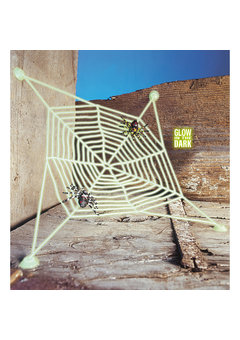 spinneweb met 2 spinnen, lichtgevend in donker