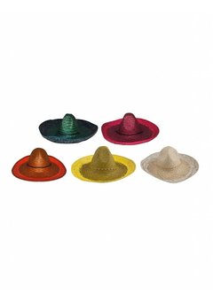 Sombrero rood Viva Mexico