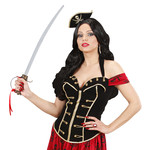 zwaard met schede oudheid