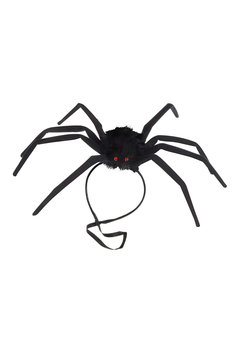 harige buigzame spin, 50cm